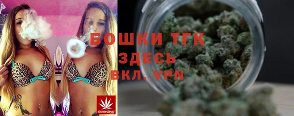 дмт Абаза