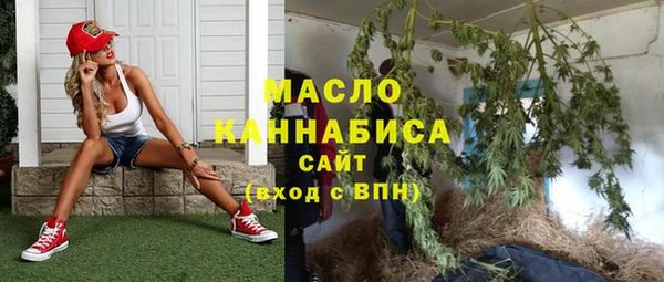 дмт Абаза