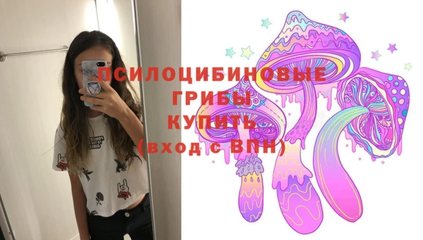 дмт Абаза