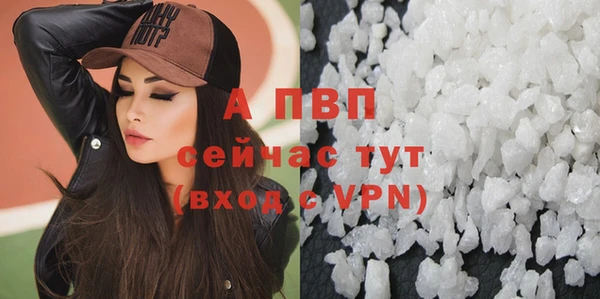 дмт Абаза