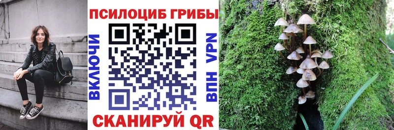 Галлюциногенные грибы мухоморы  Прохладный 